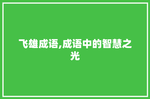 飞雄成语,成语中的智慧之光
