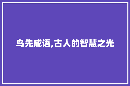 鸟先成语,古人的智慧之光