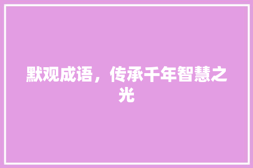 默观成语，传承千年智慧之光