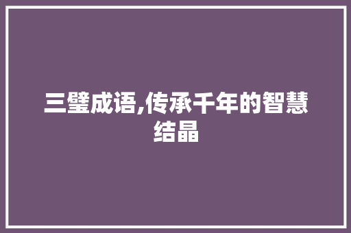 三璧成语,传承千年的智慧结晶