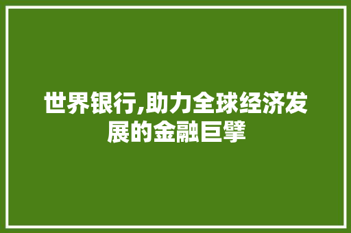 世界银行,助力全球经济发展的金融巨擘