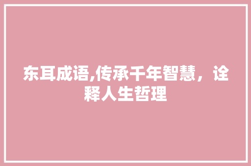 东耳成语,传承千年智慧，诠释人生哲理