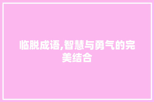 临脱成语,智慧与勇气的完美结合
