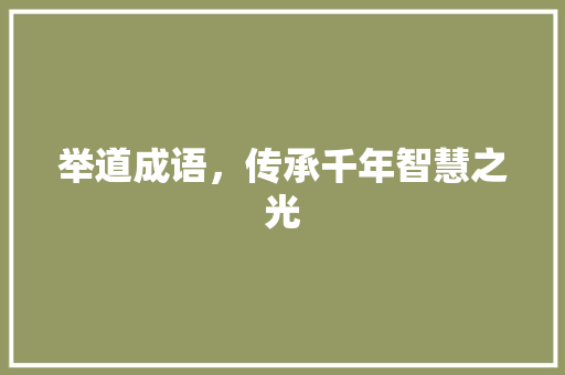 举道成语，传承千年智慧之光