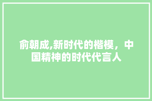 俞朝成,新时代的楷模，中国精神的时代代言人