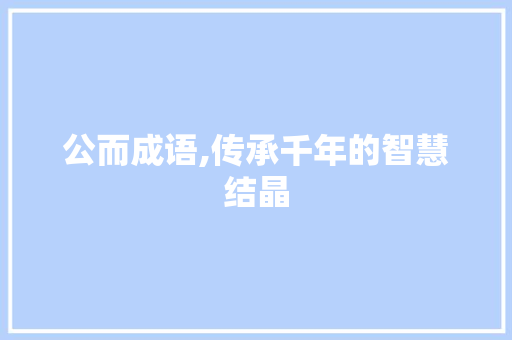 公而成语,传承千年的智慧结晶