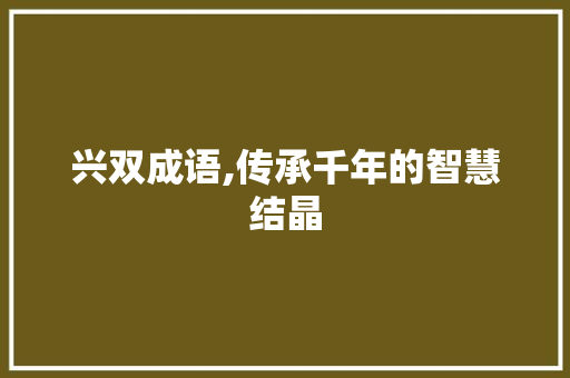 兴双成语,传承千年的智慧结晶