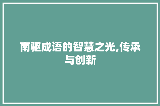 南驱成语的智慧之光,传承与创新 职场写作