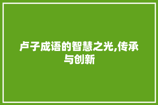 卢子成语的智慧之光,传承与创新