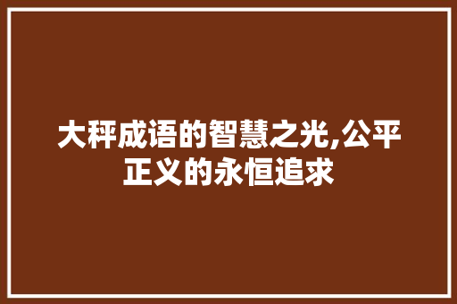 大秤成语的智慧之光,公平正义的永恒追求