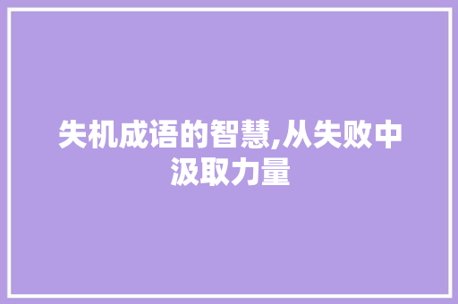 失机成语的智慧,从失败中汲取力量