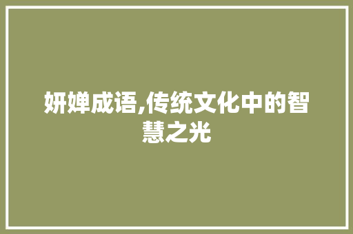 妍婵成语,传统文化中的智慧之光 项目报告