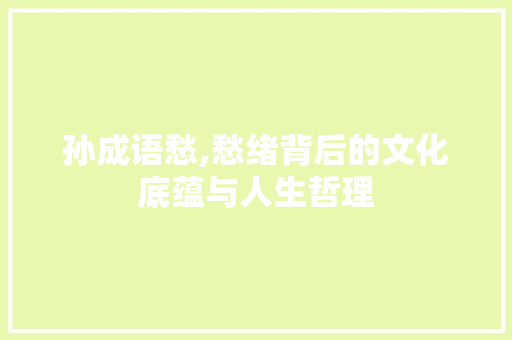 孙成语愁,愁绪背后的文化底蕴与人生哲理