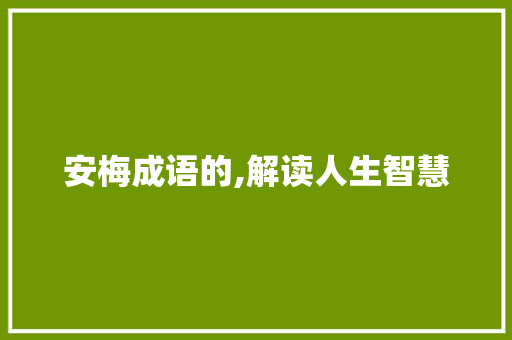 安梅成语的,解读人生智慧