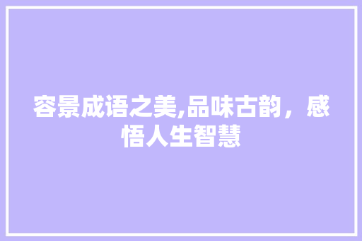 容景成语之美,品味古韵，感悟人生智慧