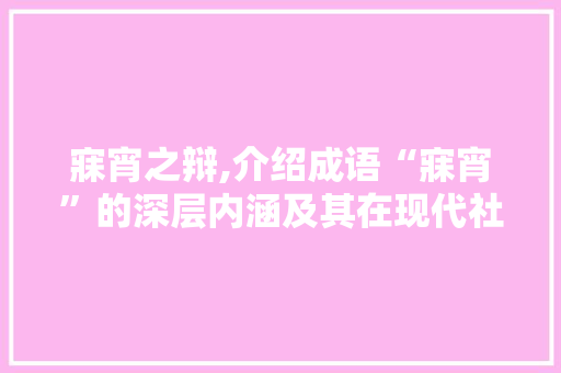 寐宵之辩,介绍成语“寐宵”的深层内涵及其在现代社会的价值