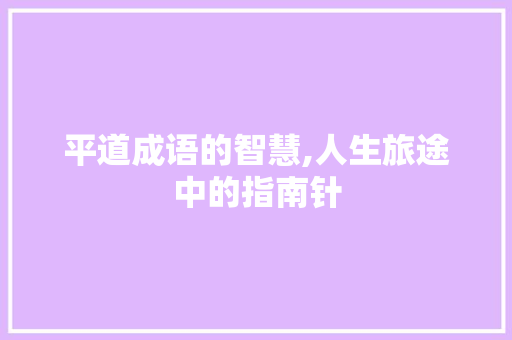 平道成语的智慧,人生旅途中的指南针