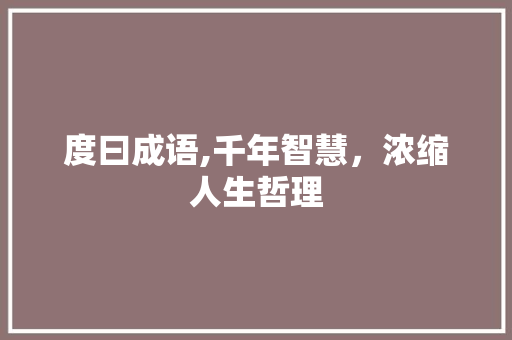 度曰成语,千年智慧，浓缩人生哲理