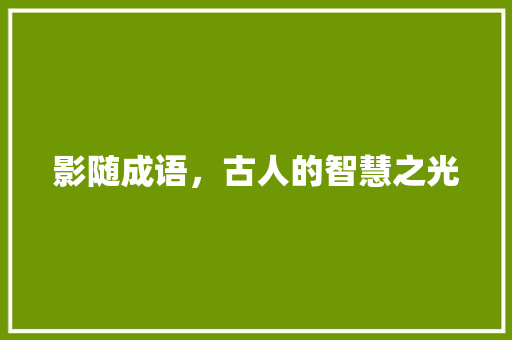 影随成语，古人的智慧之光