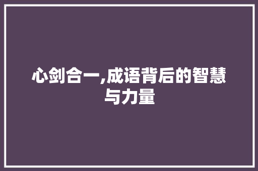 心剑合一,成语背后的智慧与力量