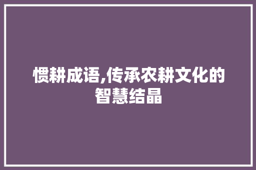 惯耕成语,传承农耕文化的智慧结晶
