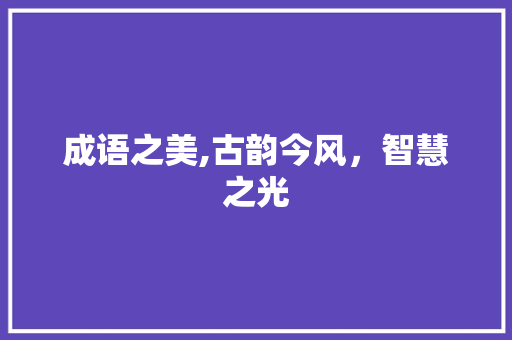 成语之美,古韵今风，智慧之光