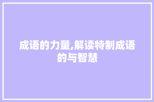 成语的力量,解读特制成语的与智慧 项目报告