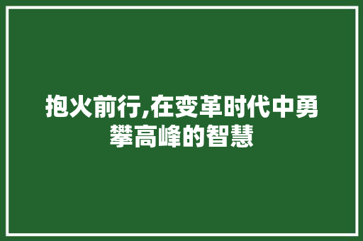 抱火前行,在变革时代中勇攀高峰的智慧