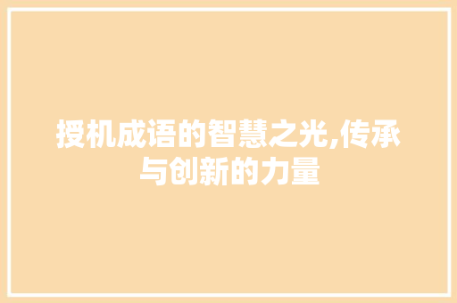 授机成语的智慧之光,传承与创新的力量