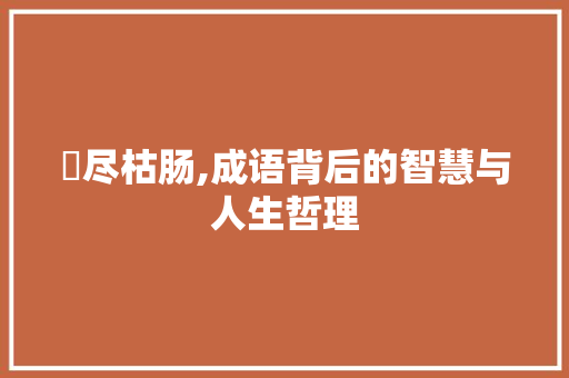 擣尽枯肠,成语背后的智慧与人生哲理