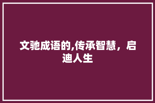 文驰成语的,传承智慧，启迪人生