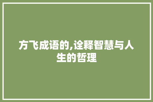 方飞成语的,诠释智慧与人生的哲理