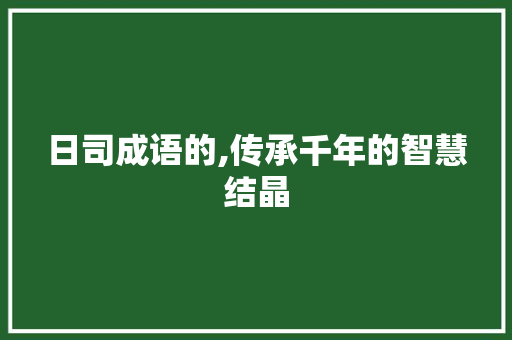 日司成语的,传承千年的智慧结晶