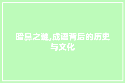 暗鼻之谜,成语背后的历史与文化