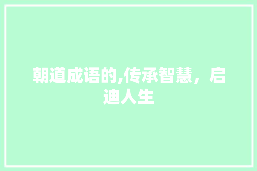 朝道成语的,传承智慧，启迪人生