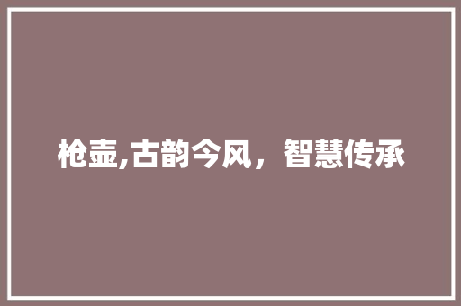 枪壶,古韵今风，智慧传承