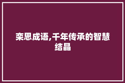 栾思成语,千年传承的智慧结晶