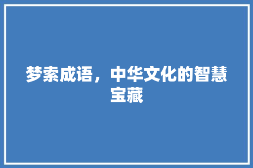 梦索成语，中华文化的智慧宝藏