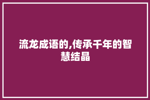 流龙成语的,传承千年的智慧结晶