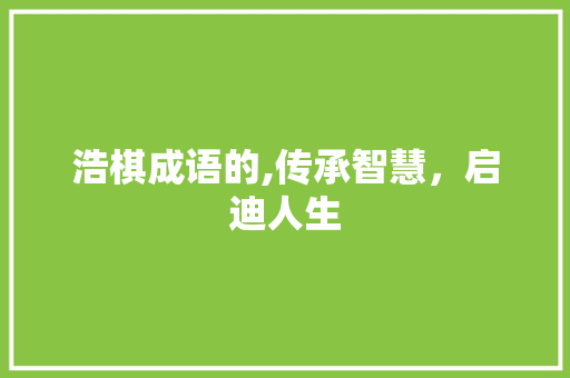 浩棋成语的,传承智慧，启迪人生
