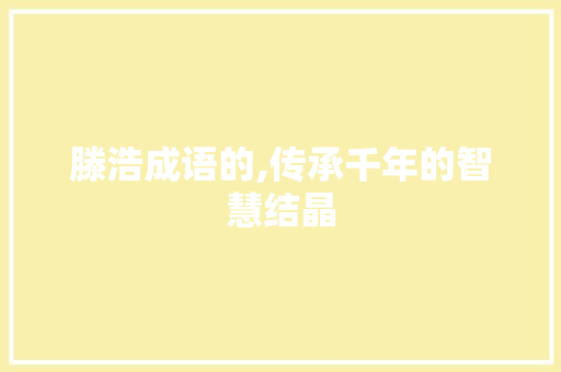 滕浩成语的,传承千年的智慧结晶