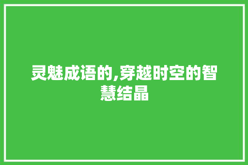 灵魅成语的,穿越时空的智慧结晶