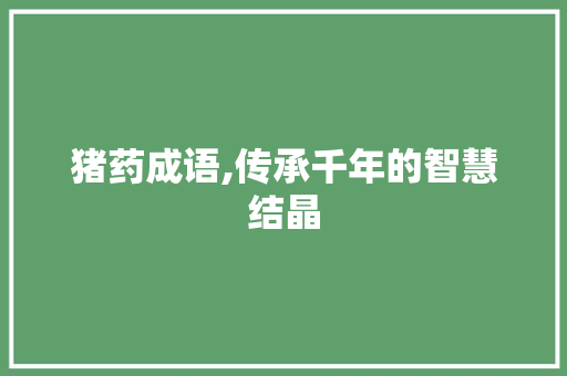 猪药成语,传承千年的智慧结晶