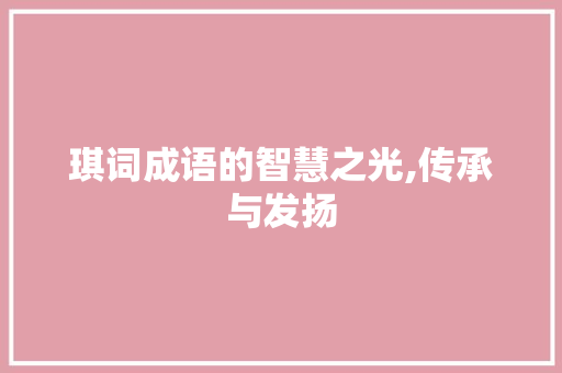 琪词成语的智慧之光,传承与发扬