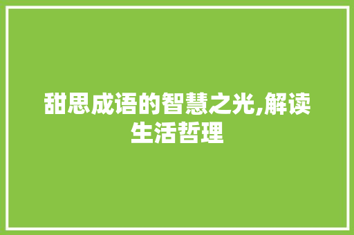 甜思成语的智慧之光,解读生活哲理