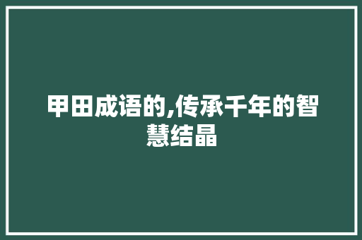 甲田成语的,传承千年的智慧结晶