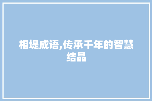 相堤成语,传承千年的智慧结晶