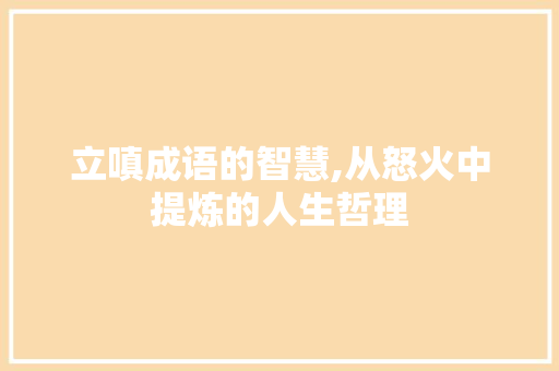 立嗔成语的智慧,从怒火中提炼的人生哲理