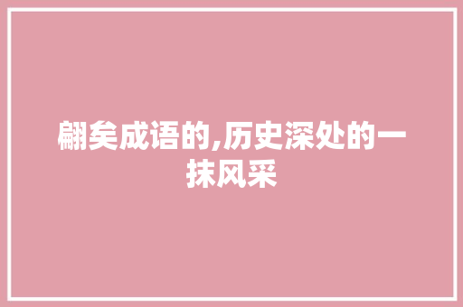 翩矣成语的,历史深处的一抹风采