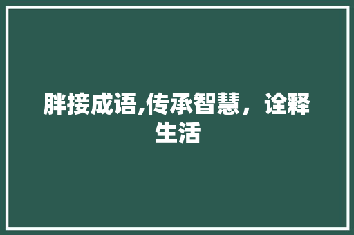 胖接成语,传承智慧，诠释生活